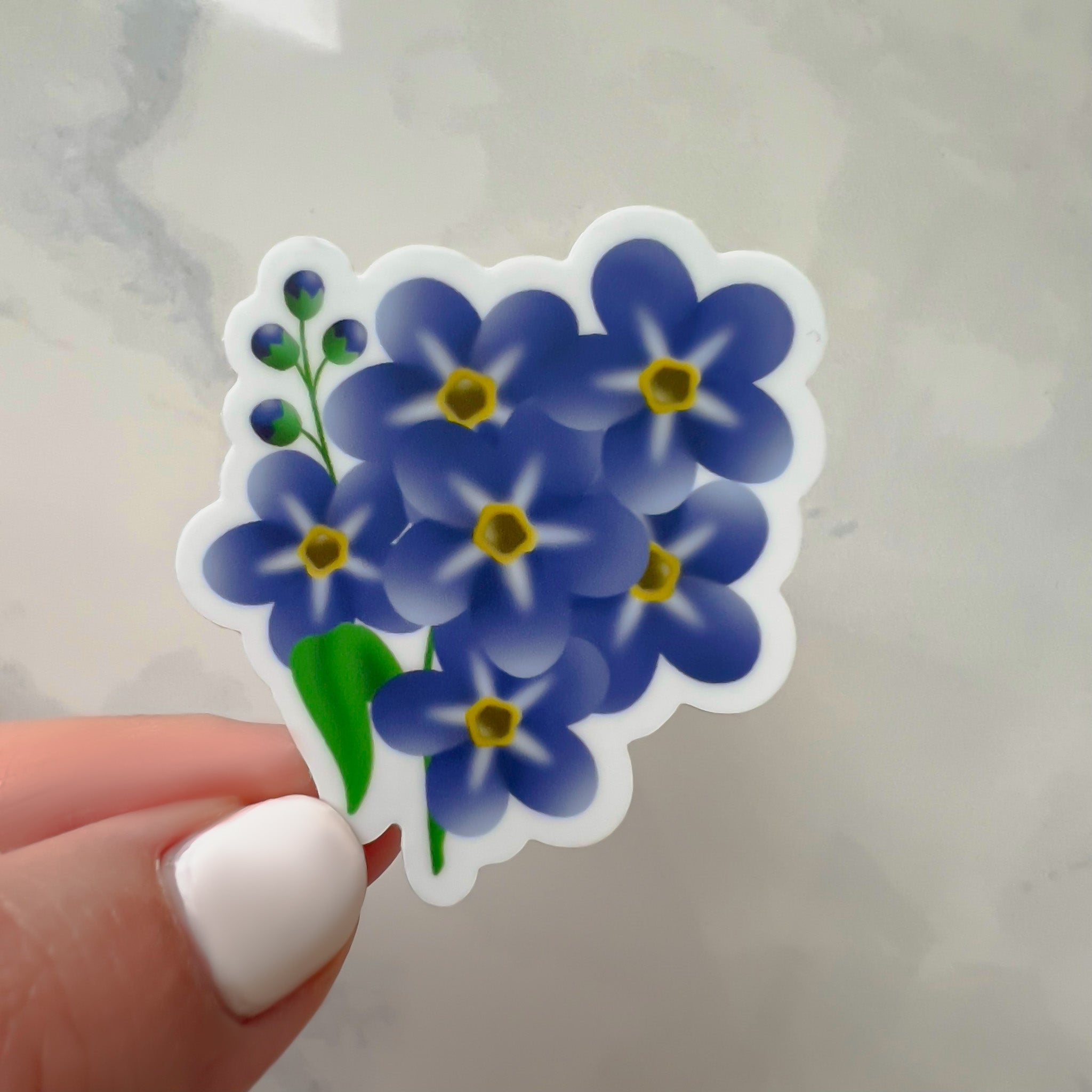 The Forget Me Not Flower Sticker